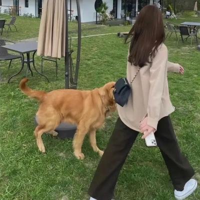暴躁家族